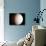 Venus-Chris Butler-Photographic Print displayed on a wall
