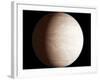 Venus-Chris Butler-Framed Photographic Print