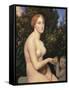 Venus-null-Framed Stretched Canvas