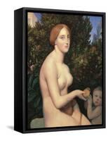 Venus-null-Framed Stretched Canvas