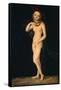 Venus-Lucas Cranach the Elder-Framed Stretched Canvas