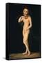 Venus-Lucas Cranach the Elder-Framed Stretched Canvas