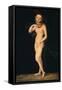 Venus-Lucas Cranach the Elder-Framed Stretched Canvas