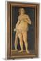 Venus-Lorenzo di Credi-Mounted Giclee Print