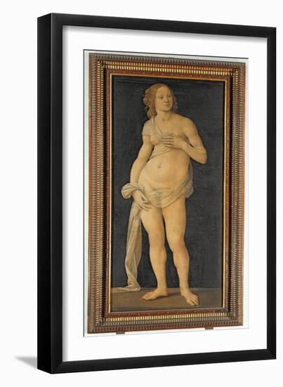 Venus-Lorenzo di Credi-Framed Giclee Print