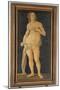Venus-Lorenzo di Credi-Mounted Giclee Print
