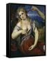 Venus-Paris Bordone-Framed Stretched Canvas