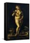 Venus-Jan Gossaert-Framed Stretched Canvas