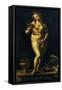 Venus-Jan Gossaert-Framed Stretched Canvas