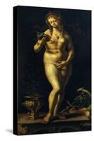 Venus-Jan Gossaert-Stretched Canvas