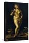 Venus-Jan Gossaert-Stretched Canvas