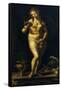 Venus-Jan Gossaert-Framed Stretched Canvas