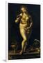 Venus-Jan Gossaert-Framed Giclee Print