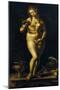 Venus-Jan Gossaert-Mounted Giclee Print