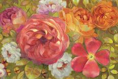 Flower Abundance 2-Vera Hills-Art Print