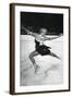 Vera Hrubá, Czech Figure Skater, Winter Olympic Games, Garmisch-Partenkirchen, Germany, 1936-null-Framed Giclee Print