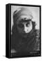 Vera Kholodnaya, Russian Silent Film Actress, 1916-null-Framed Stretched Canvas