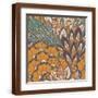 Brown Frame