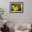 Verbena Bonariensis and Evening Primrose, Ireland-null-Framed Photographic Print displayed on a wall