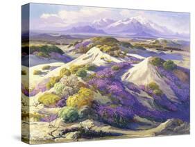 Verbena Clad Dunes-Fred Grayson Sayre-Stretched Canvas