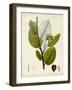 Verdant Foliage I-Vision Studio-Framed Art Print