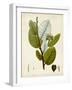 Verdant Foliage I-Vision Studio-Framed Art Print