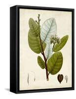 Verdant Foliage I-Vision Studio-Framed Stretched Canvas