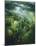 Verdant Forest-Joseph Eta-Mounted Giclee Print