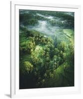 Verdant Forest-Joseph Eta-Framed Giclee Print