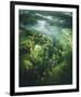 Verdant Forest-Joseph Eta-Framed Giclee Print