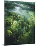Verdant Forest-Joseph Eta-Mounted Giclee Print