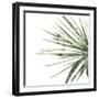 Verdant Impressions IV-June Vess-Framed Art Print