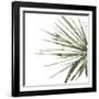 Verdant Impressions IV-June Vess-Framed Art Print