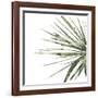 Verdant Impressions IV-June Vess-Framed Art Print