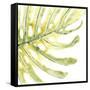 Verdant Impressions IX-June Vess-Framed Stretched Canvas