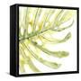 Verdant Impressions IX-June Vess-Framed Stretched Canvas