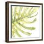 Verdant Impressions IX-June Vess-Framed Art Print