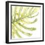 Verdant Impressions IX-June Vess-Framed Art Print