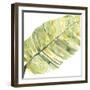 Verdant Impressions V-June Vess-Framed Art Print