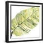 Verdant Impressions V-June Vess-Framed Art Print