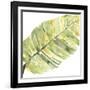 Verdant Impressions V-June Vess-Framed Art Print