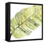 Verdant Impressions V-June Vess-Framed Stretched Canvas