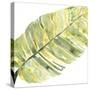 Verdant Impressions V-June Vess-Stretched Canvas