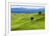 Verdant Knolls of the Tuscan Countryside-George Oze-Framed Photographic Print