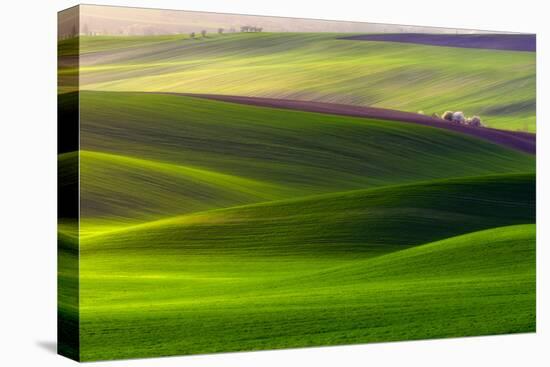 Verdant Land-Piotr Krol (Bax)-Stretched Canvas