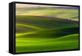 Verdant Land-Piotr Krol (Bax)-Framed Stretched Canvas