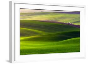 Verdant Land-Piotr Krol (Bax)-Framed Photographic Print