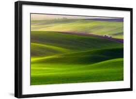 Verdant Land-Piotr Krol (Bax)-Framed Photographic Print