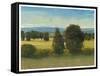 Verdant Meadow I-Tim O'toole-Framed Stretched Canvas