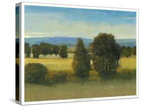 Verdant Meadow I-Tim O'toole-Stretched Canvas